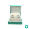 Oval Aquamarine & Diamond Earrings